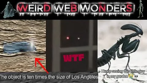 weird web wonders vol 59