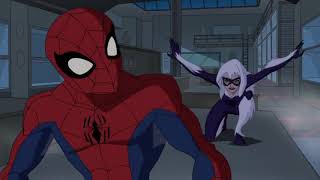 Spiderman Black Cat Sexy