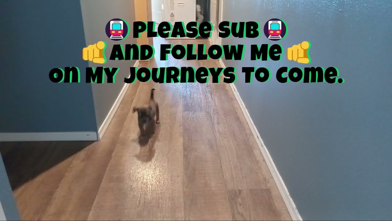 🤗𝑴𝒆𝒆𝒕 𝑻𝒖𝒃𝒃𝒔: 𝑻𝒉𝒆 𝑻𝒊𝒏𝒚🤏𝑫𝒐𝒈 𝑨𝒏𝒅 𝑯𝒊𝒔 𝑳𝒊𝒕𝒕𝒍𝒆 𝑭𝒂𝒎𝒊𝒍𝒚🤗