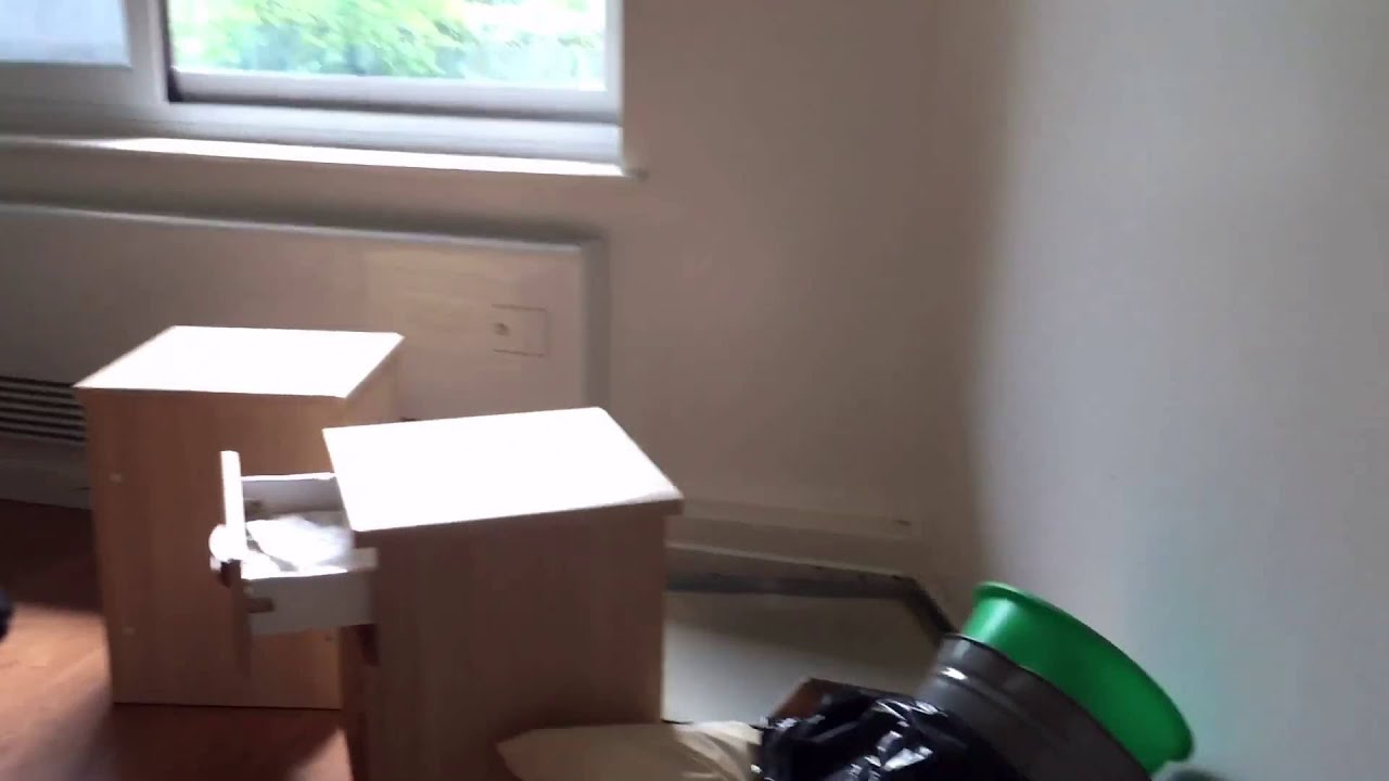 Exploring a Mental Hospital (Tindal)