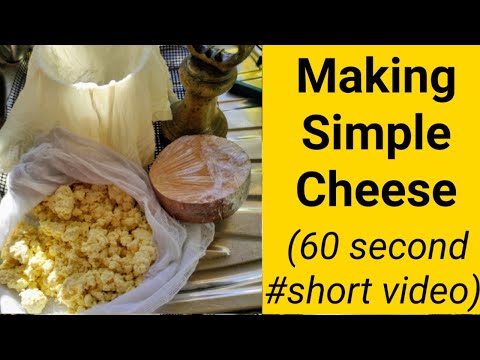 Making Simple Cheese #shorts
