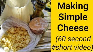 Making Simple Cheese #shorts