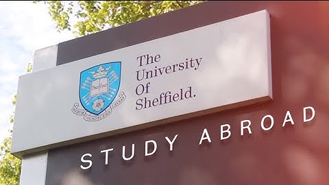 Study Abroad at the University of Sheffield