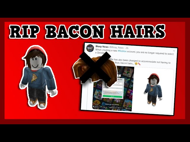 As a memorial for the bacon hairs I dressed up as one : r/roblox