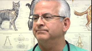 K-9's Health Condition In Question