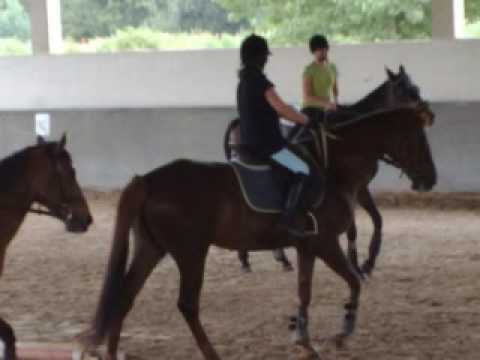 1st July riding lesson with Natasha