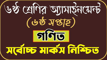 class 6 math assignment 6th week