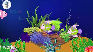Calming Piano Music to Relieve Stress Deep Sleep 🐠 Soothing Underwater Ocean Sounds#relaxingmusic