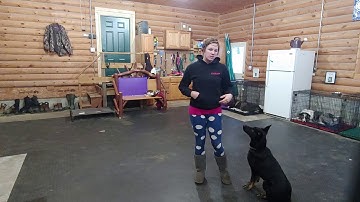 C2BH: Luring, Shaping, and Target Training