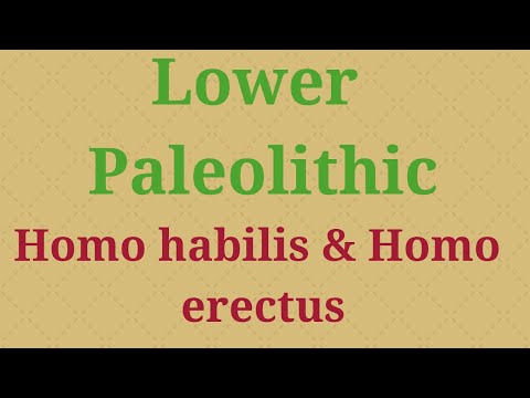 Lower Paleolithic UPSC Anthropology Outline of Prehistoric Cultures Homo habilis Homo erectus YouTube thumbnail