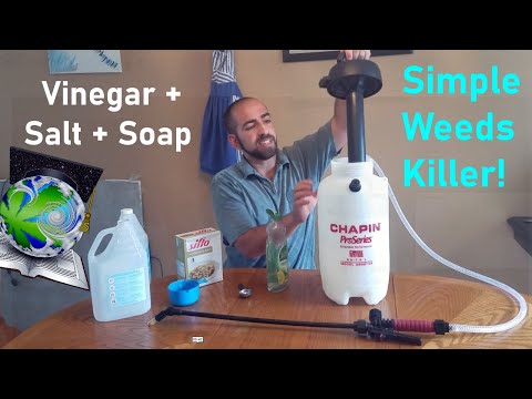 How To Make Weeds Killer, Recipe + Before/After - A Vinegar, Salt + Dish Soap Formula