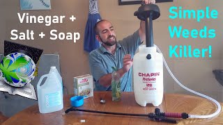 How To Make Weeds Killer, Recipe + Before/After  A Vinegar, Salt + Dish Soap Formula