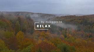 Relaxing Campfire Sounds with Birds in the Forest - Meditation, Sleep, Nature - 10 Hours