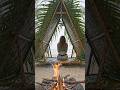 Building a Cozy Shelter in Heavy Rain 🌧️🔥 #bushcraft #camping #outdoors #survival