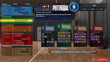 NBA 2K22 BEST PG BUILD? 94 BADGE PLAYMAKING SHOT CREATOR!