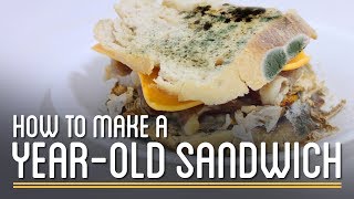 How to Make a Year-Old Edible Sandwich