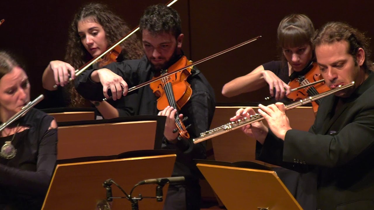 F. Doppler - Andante et Rondo, op. 25, for 2 flutes and strings (Chifu, Tarpagos, Fle[x] Strings)