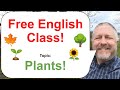 Free english class topic plants 