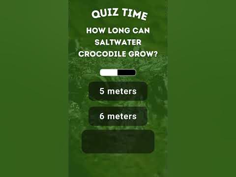 How long can saltwater crocodile grow? #shorts #quiz #fun - YouTube