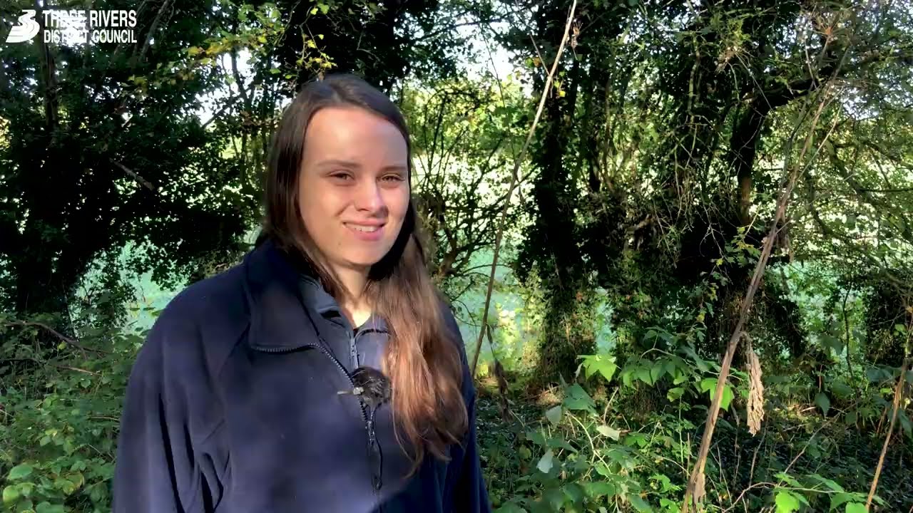 Making your garden hedgehog friendly this autumn