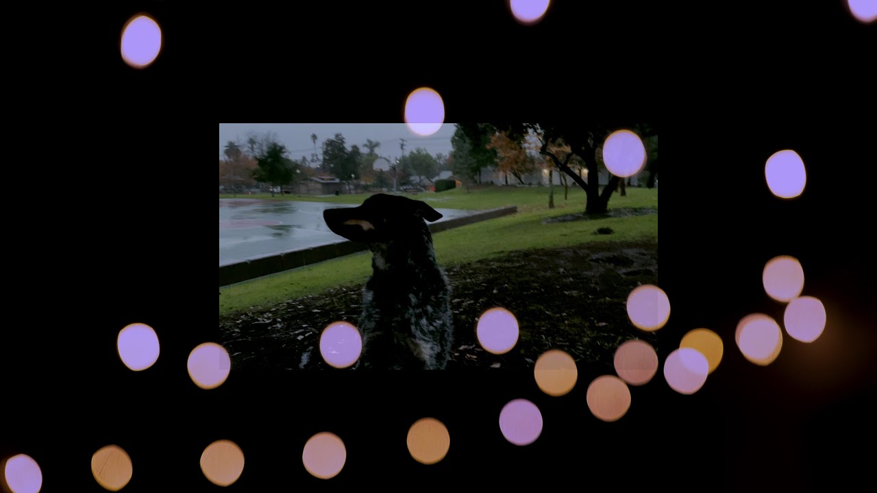 Watching the World Go By | Data Deficient