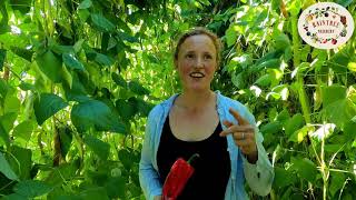 Exclusive Tour of Queen Mountain farm with Raintree Nursery Details