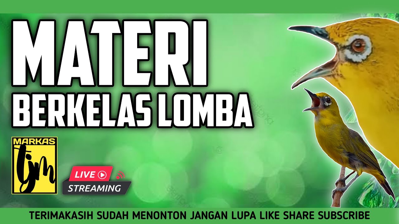 🔴  LIVE Masteran Pleci Kelas Lomba Tembakan Mewah