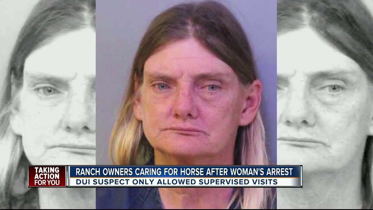 Polk City ranch taking care of 'Bo Dukes' the horse involved in DUI ...