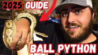 Ultimate Ball Python Care Guide - 2025