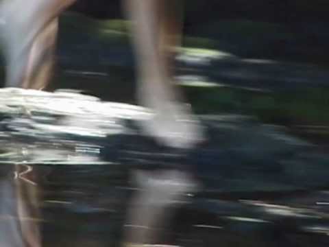 Tirill — Tirill - Tales from Tranquil August Gardens -  Re-release 2011