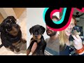 The Most Sweetest Rottweiler TikTok Compilation | Dogs Of TikTok