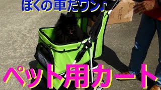 【Review】 COCOHEART ペットカートを６ヶ月使ってみたレビュー　"Pets Cart Review by COCOHEART"