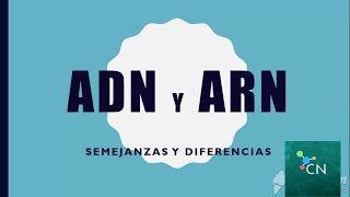 ADN & ARN: Semejanzas y diferencias - 2ºAÑO CENS - CIENCIAS NATURALES ADN & ARN: Semejanzas y diferencias - 2ºAÑO CENS - CIENCIAS NATURALES