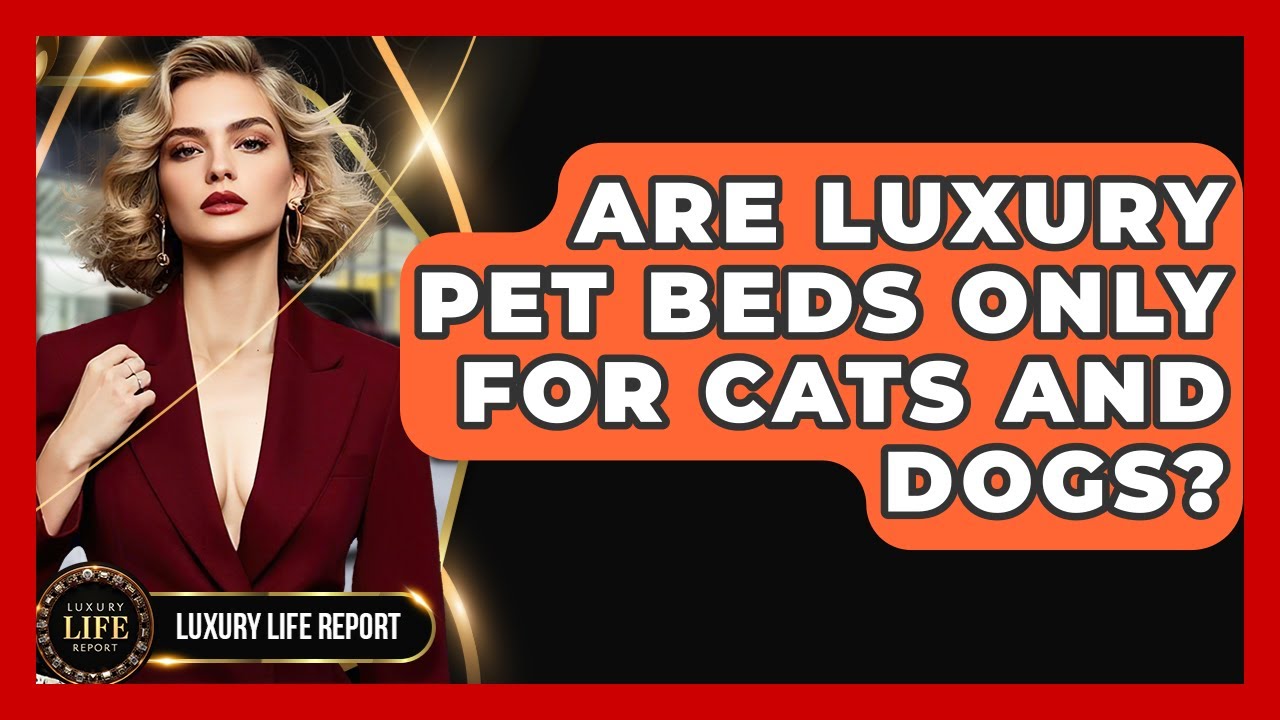 Are Luxury Pet Beds Only For Cats And Dogs? - Luxury Life Report
