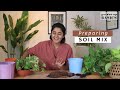 Essential Tips for Preparing Soil Mix for Healthy Indoor Plants