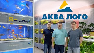 Аквалого - рыбок много! by RussianAquariums 27,627 views 3 months ago 1 hour, 23 minutes