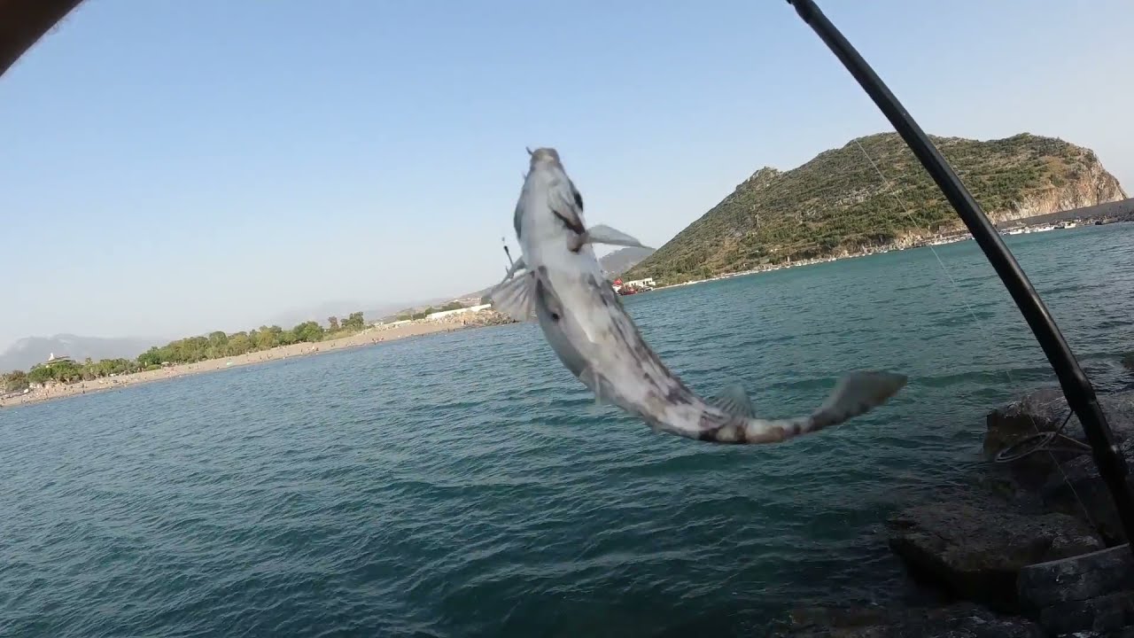En Kolay Yöntemle Sokar, Sokkan Balığı Avı /Aşırı Keyfli Bir Av Oldu