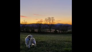 Mary Chapin Carpenter - Songs From Home Episode 48: Thanksgiving Song⁣