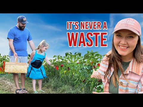 Making Memories On A Family Farm And Homestead In The Garden | Homesteading Zone 8a