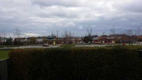 Selenium D250 X test