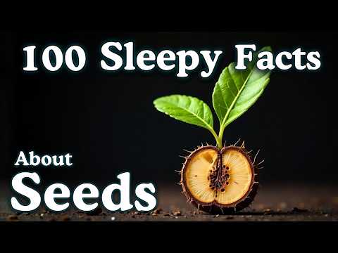 The Most Relaxing Facts About Seeds to Fall Asleep To — No Adverts