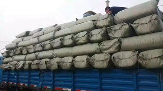 60kg silage bale in pakistansilage bag baled up turkish silage bagger