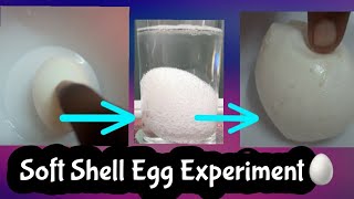 Soft Shell Egg Science Experiment/Vinegar and Egg Experiment🥚🥚 screenshot 5