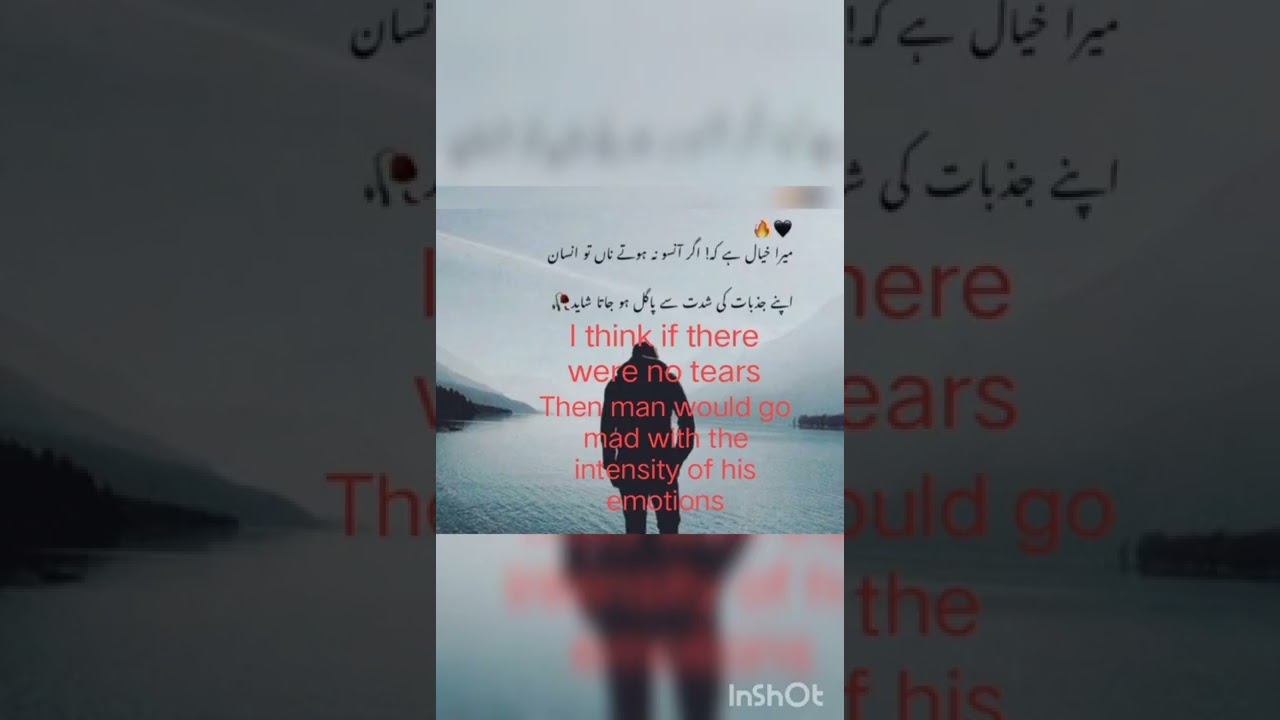 Heart touching quotes in English/Sad poetry in Urdu/Best quotes about life