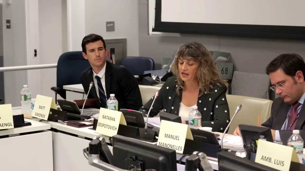 Innovative Financing for the Post-2015 Agenda: The Implications of a Financial Transaction Tax