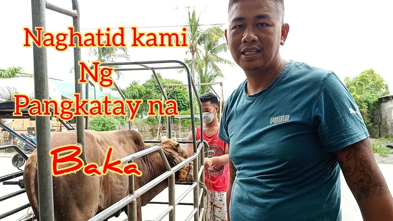 EP:17 Naghatid kami ng Pangkatay na Baka||Occ.Mindoro Philippines@mabstvko @mabstv2494