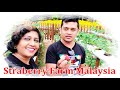 StrawberryFarm Malaysia