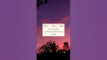 SURAH TAHA • سورة طه • تلاوه الشيخ شريف مصطفى