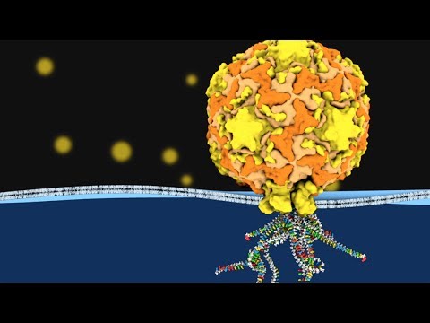 Video: App Del Giorno: Virus Wars