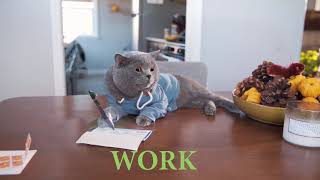 CAT VERSION - STOP DRINKING (THAI ADS)